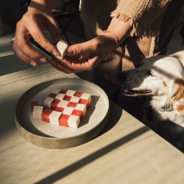 Big Canyon Pet Affiliate Program