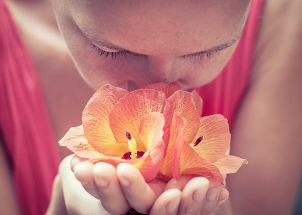 Dead Down Wind Affiliate Program