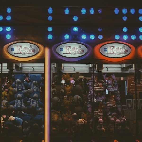 Wagerbird Affiliate Program