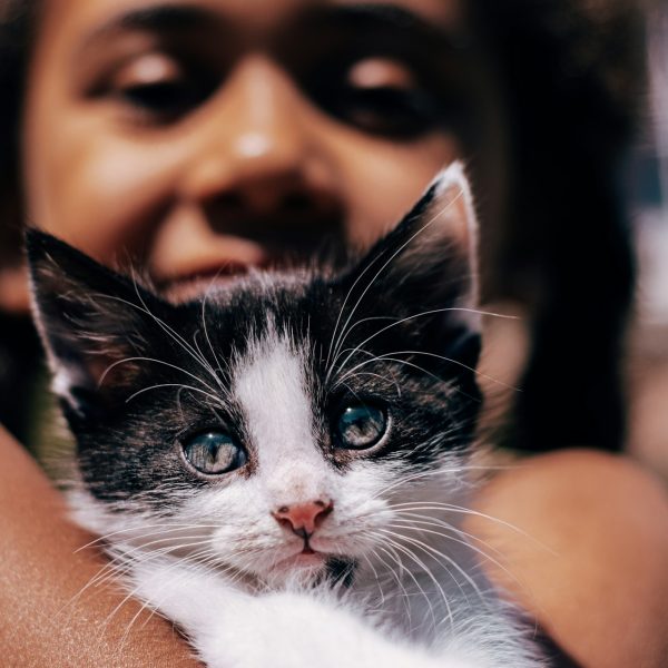 Smalls Affiliate Program