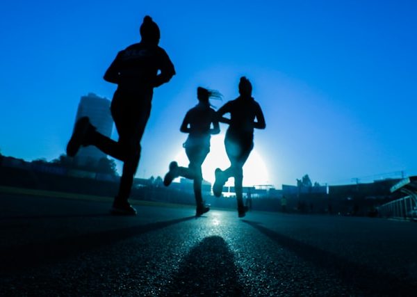 Physio Flex Pro Affiliate Program