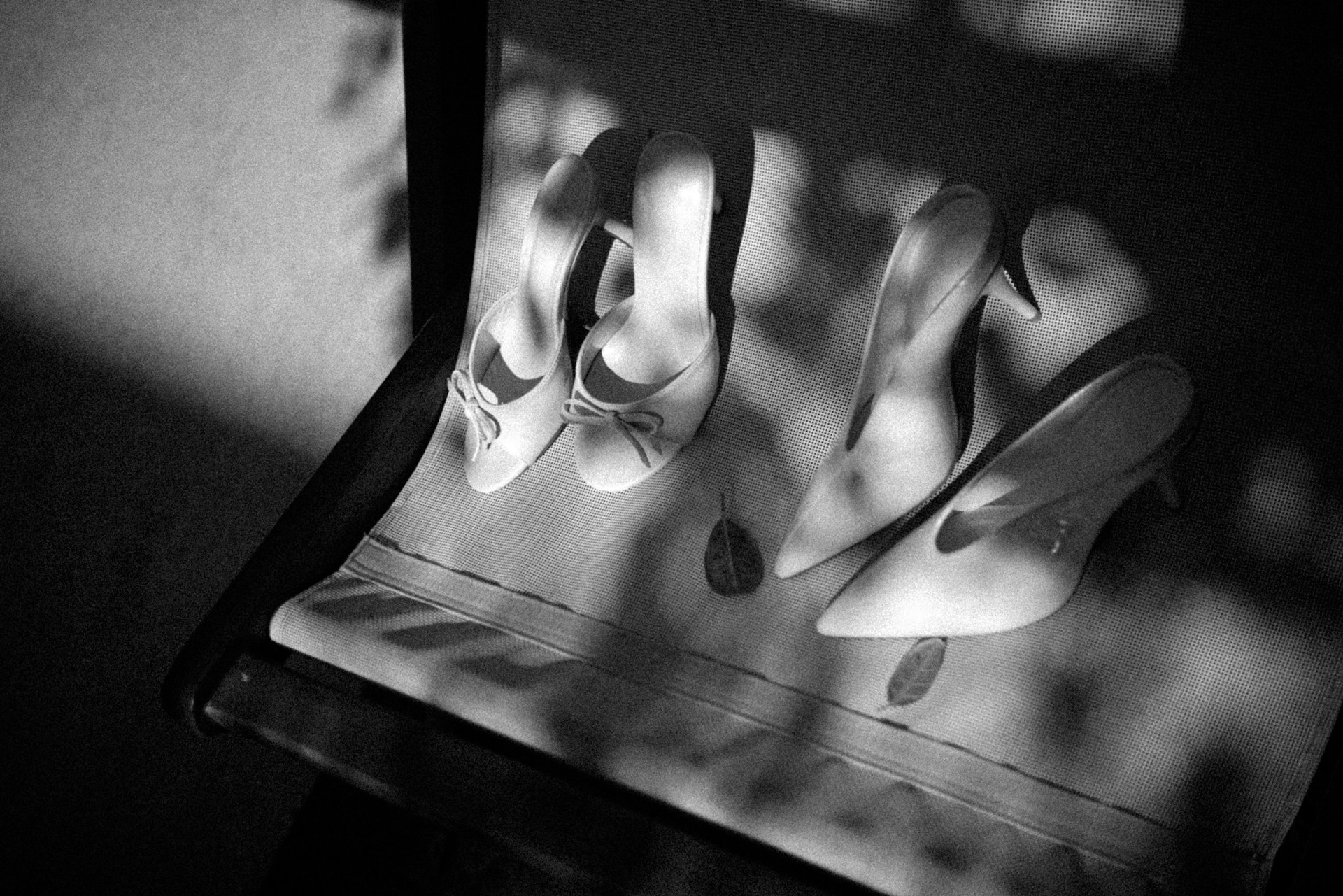 Coclico Affiliate Program