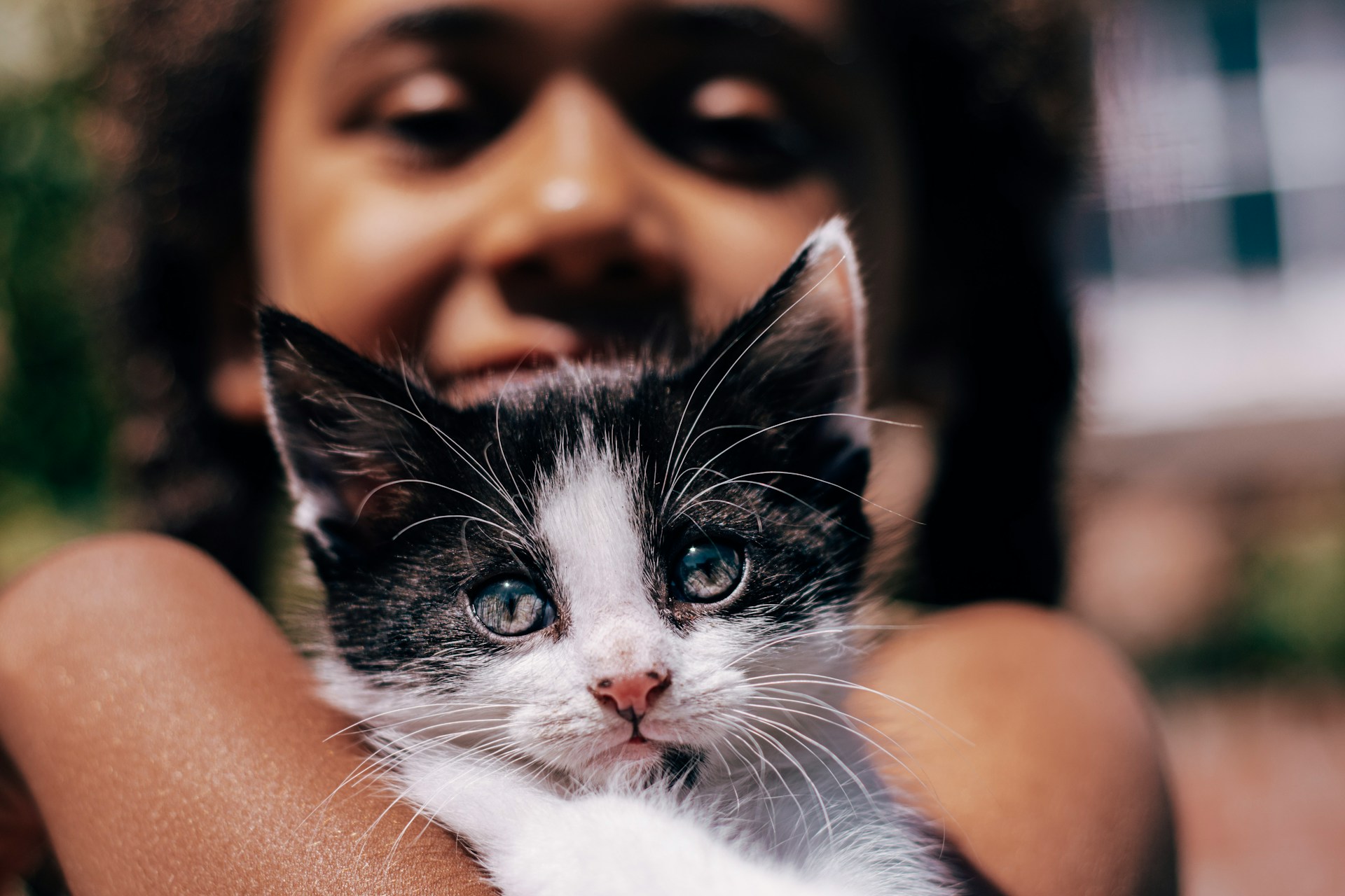 Smalls Affiliate Program