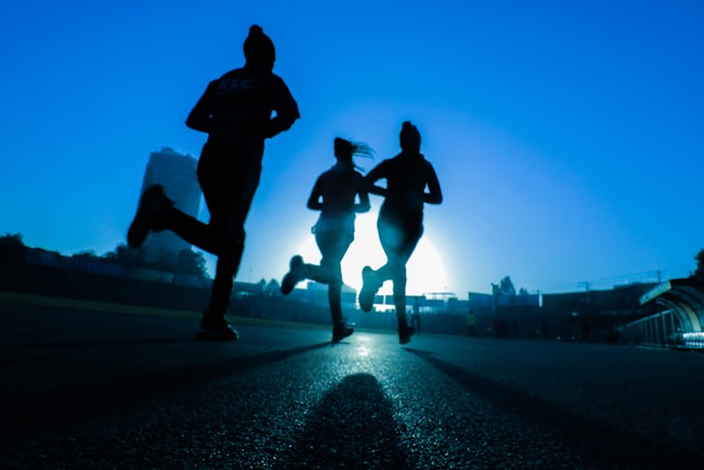 Physio Flex Pro Affiliate Program